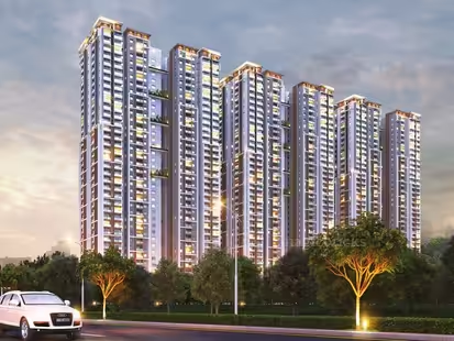 Nyla Project — evening view
